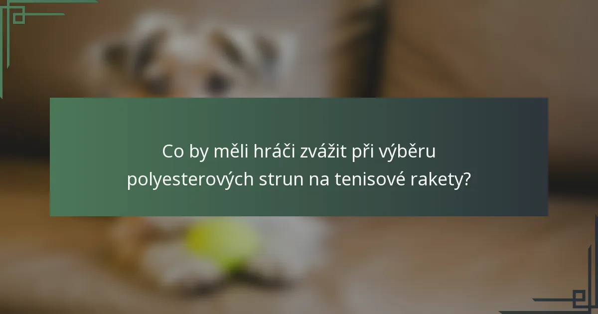 Co by měli hráči zvážit při výběru polyesterových strun na tenisové rakety?