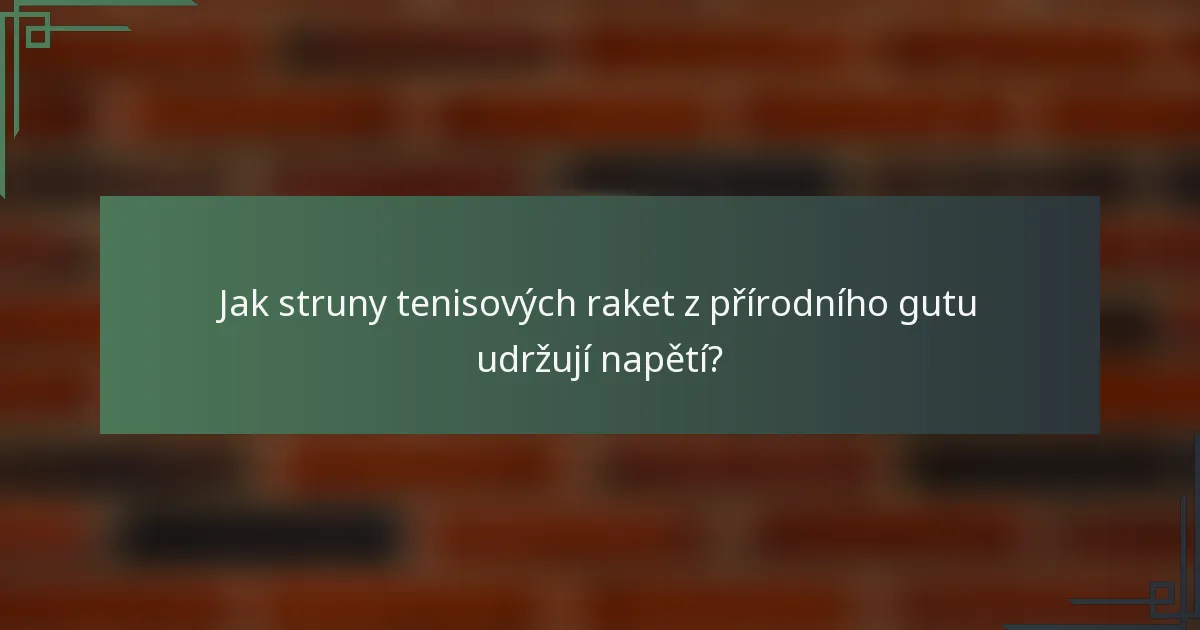 Jak struny tenisových raket z přírodního gutu udržují napětí?