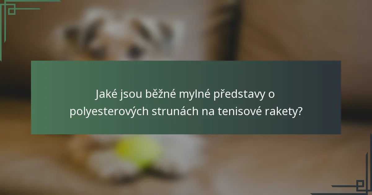 Jaké jsou běžné mylné představy o polyesterových strunách na tenisové rakety?