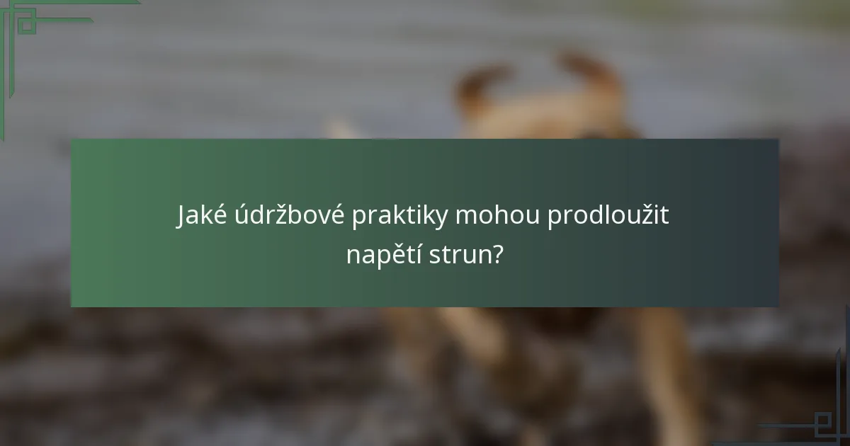 Jaké údržbové praktiky mohou prodloužit napětí strun?